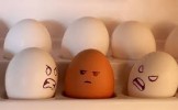 uova diverso colore