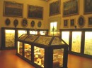 Sala VII