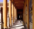 La Certosa di Bologna, un libro aperto sulla storia