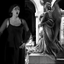 Angel's Serenade - Intrecci Musicali alla Certosa