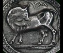 Nell’antica fattoria
