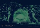 IMAGO 3. Music and visual experience