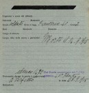 La prima guerra mondiale nel territorio bolognese