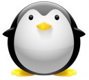 Linux