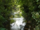 Il Parco di Villa Angeletti