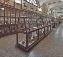 Veduta della sala etrusca del Museo