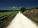 Passeggiate in biblioteca