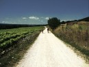 Passeggiate in biblioteca 2012 - www.flickr.com/photos/modenaroid/6041052456