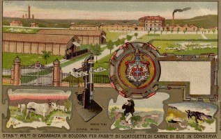 Terzo Settore, economia civile, benessere sociale