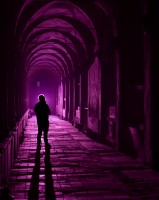 Nel buio della notte: visita insolita alla Certosa