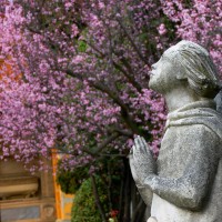 I giardini immortali della Certosa