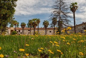 Diverdeinverde in Certosa | Foto Michele Brusa