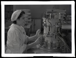 Operaia della Farmac Zabban al lavoro (anni 1950)