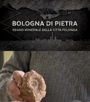 Bologna di pietra – Regno minerale della città felsinea