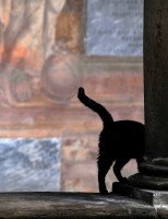 La Certosa svelata | sale nascoste e passaggi segreti