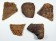 Group of pottery fragments