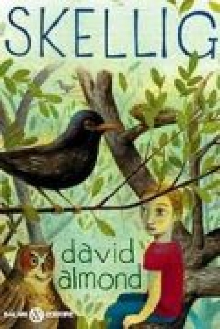 david almond first book