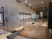 La nuova sezione preistorica