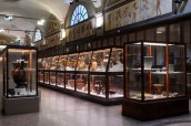 Museo Civico Archeologico (foto Roberto Serra)