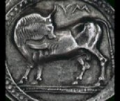 Nell’antica fattoria