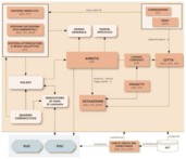 Modello dati e relazioni