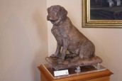Il cane Tago, 