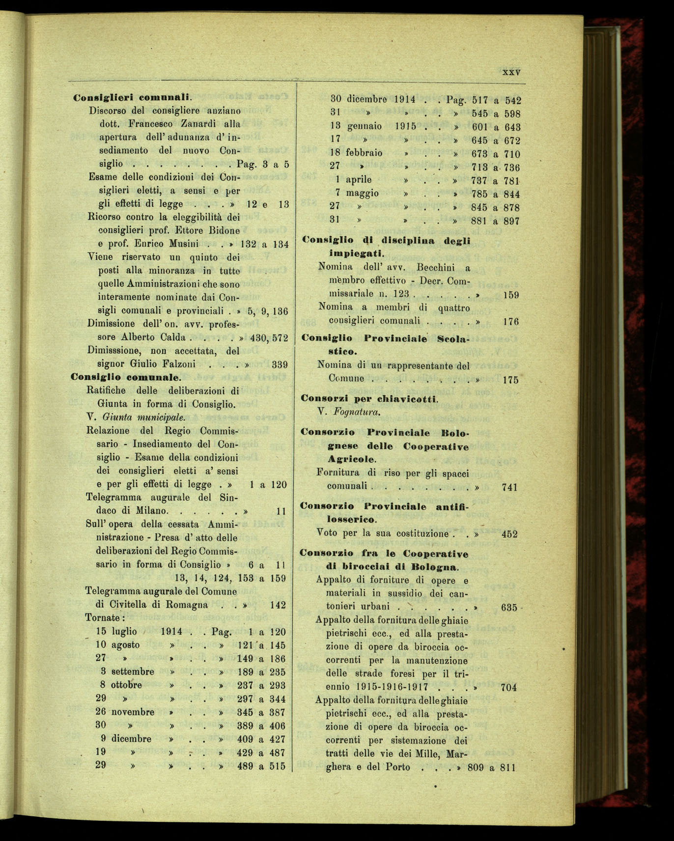 Indice volume 15.7.1914 - 31.5.1915